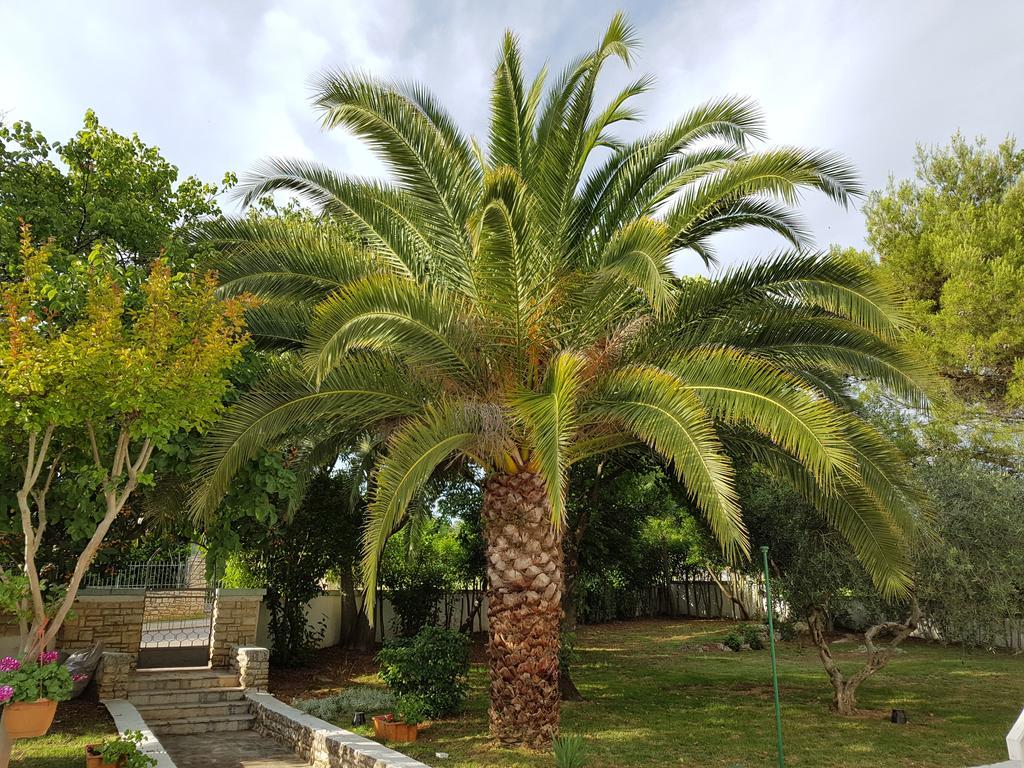 Villa Rosa With Yard And Children'S Playground Tar-Vabriga Екстериор снимка