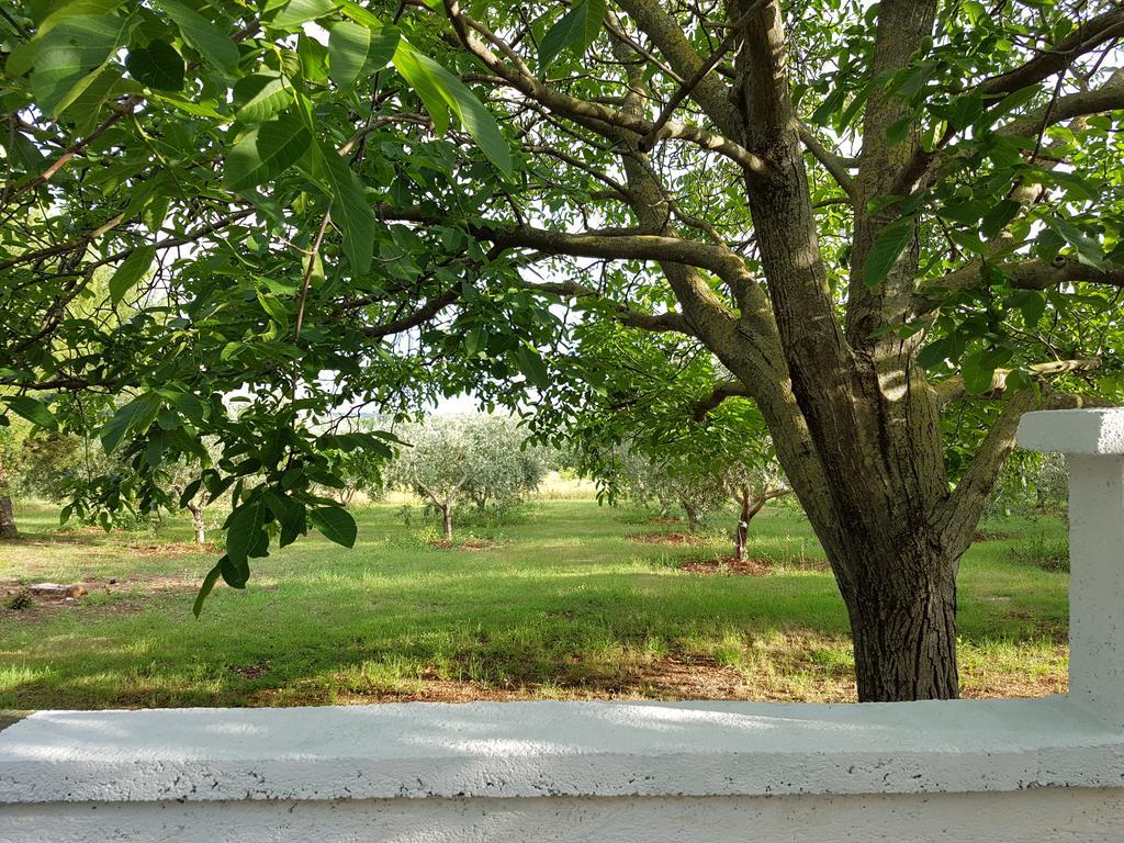 Villa Rosa With Yard And Children'S Playground Tar-Vabriga Екстериор снимка