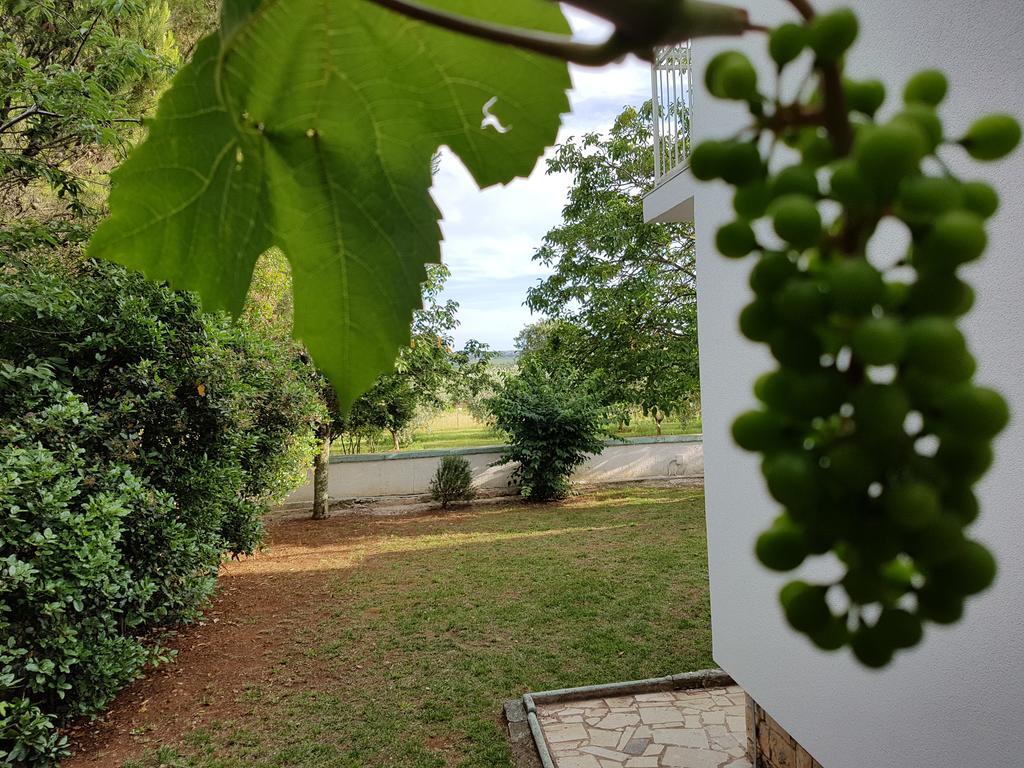 Villa Rosa With Yard And Children'S Playground Tar-Vabriga Екстериор снимка