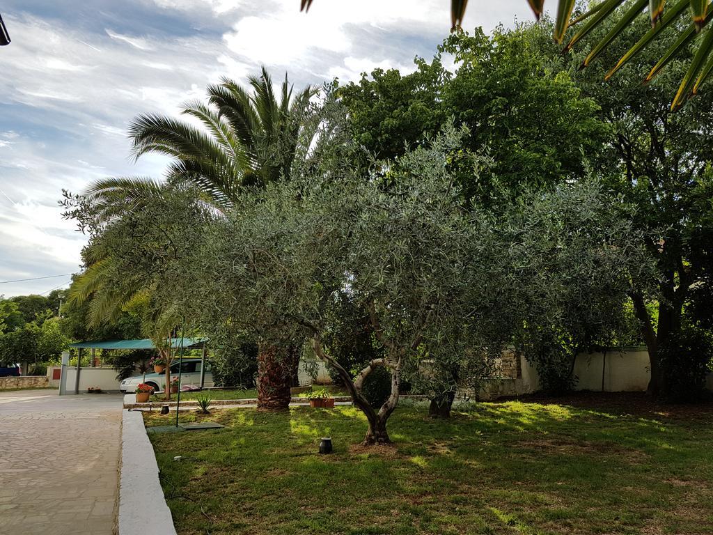 Villa Rosa With Yard And Children'S Playground Tar-Vabriga Екстериор снимка